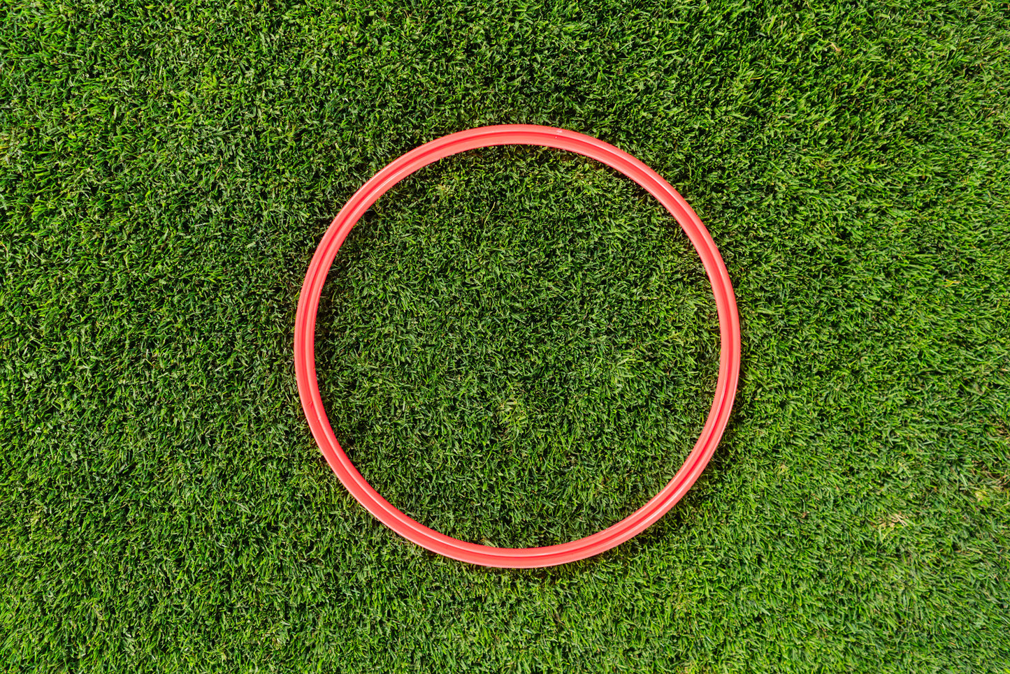 Speed & Agility Training Rings