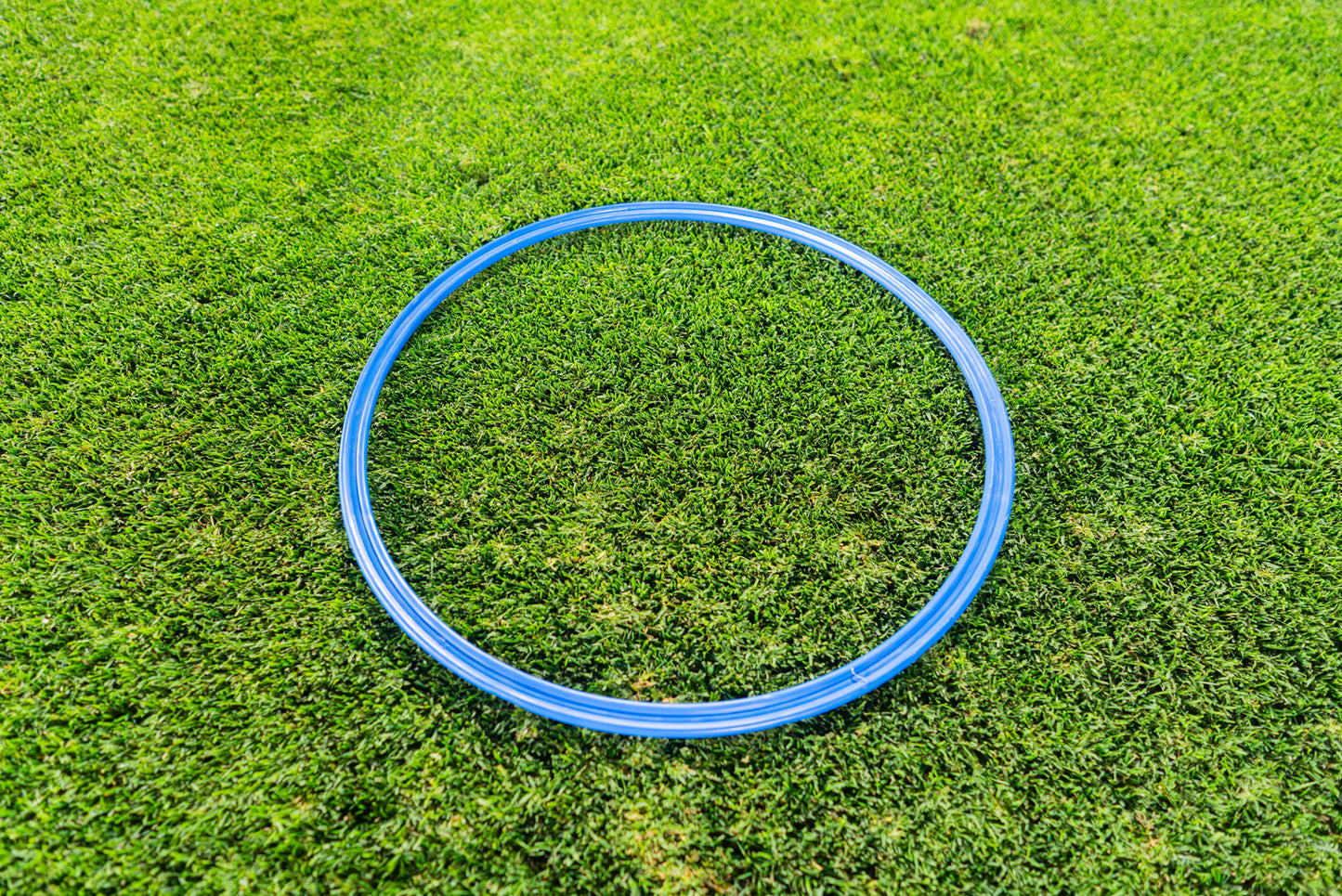 Speed & Agility Training Rings