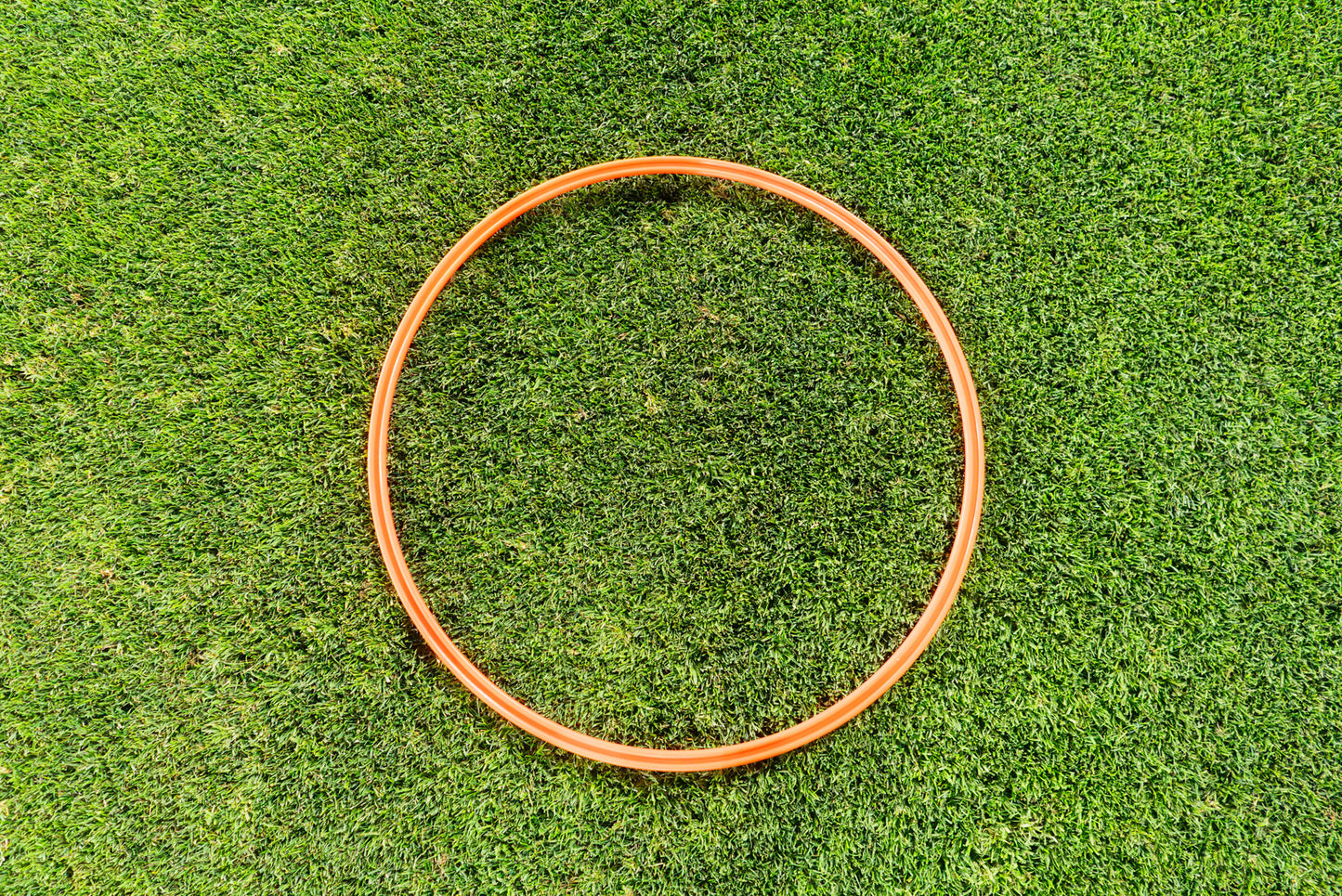 Speed & Agility Training Rings