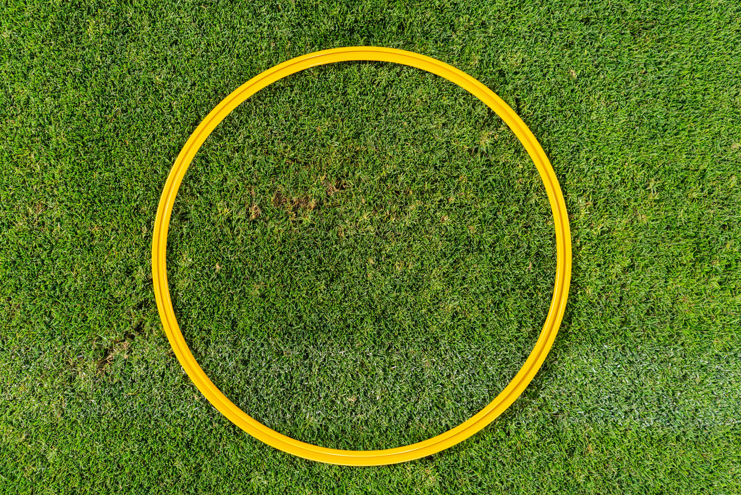 Speed & Agility Training Rings
